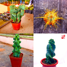 ����ľ ����� ������ �����L ������ ������ ���B�����򻨻�����