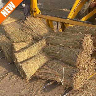 Wholesale Warm Straw Curtain Greening Straw Rope Straw Curtain Insulation Straw Curtain