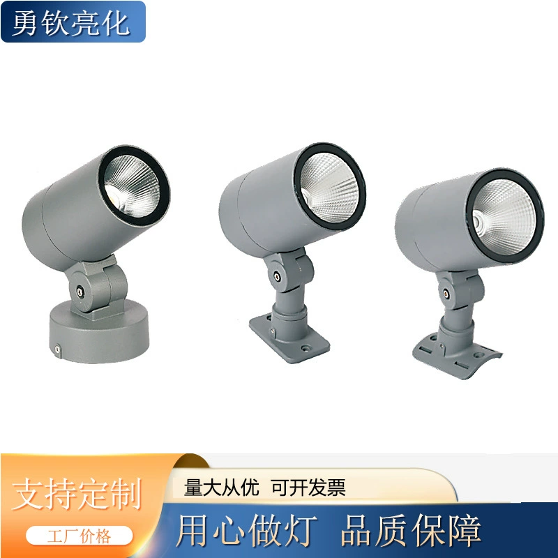 Путешествующий прожектор, светодиодные огни для беседки, 30W