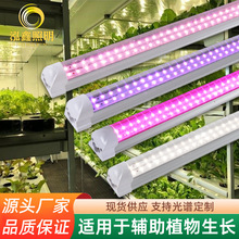 ֲ�����L��LEDȫ���V����ֲ����ܹϹ���ɫģ�M̫ꖹ�����a���