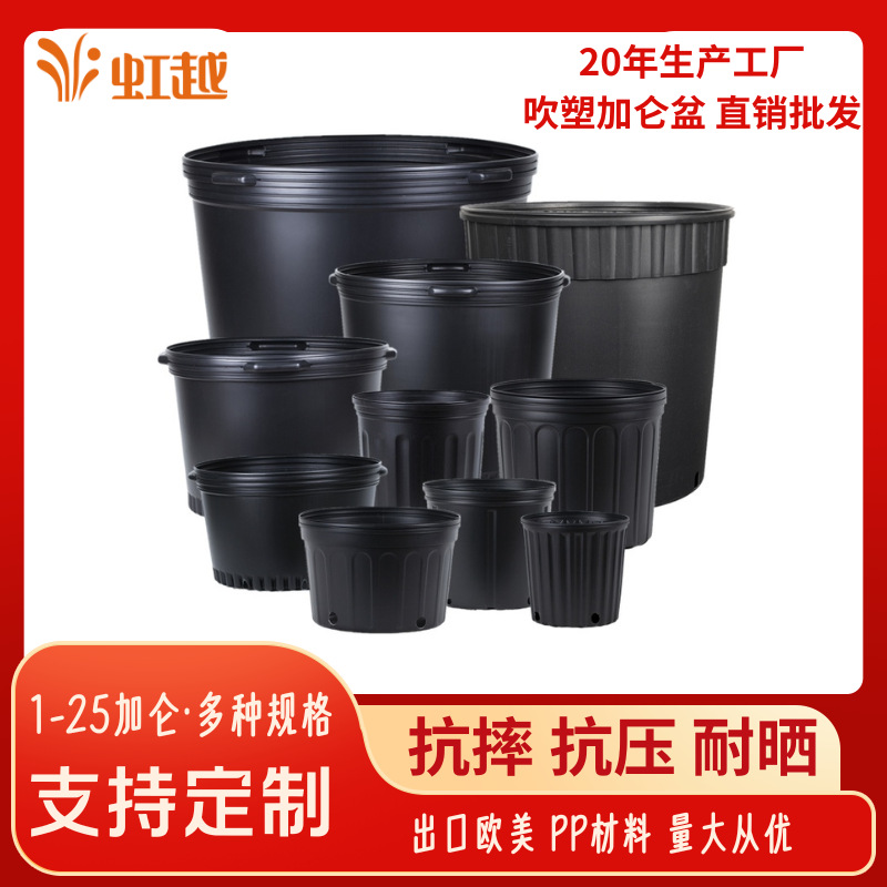 工厂直发塑料花盆批发阳台绿萝盆栽草莓月季加厚吹塑加仑盆透气