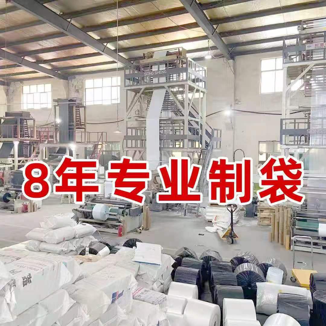 Bolsa con cremallera de ropa Bolsa con cremallera de crisantemo pequeño Bolsa de embalaje de camiseta Bolsa de ropa interior Bolsa de ropa PE esmerilada pequeña bolsa ziplock