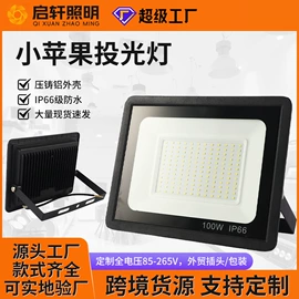 投光灯;工矿灯;路灯