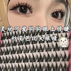 100クラスタの大容量の無料の小さい乳の犬はつけのまつげのまつげの怠け者の濃密な自然な新米の漫画のまつげを結びます。