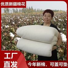 新疆棉花被芯棉被春秋被棉絮棉胎学生宿舍床垫单人铺底被褥子冬被