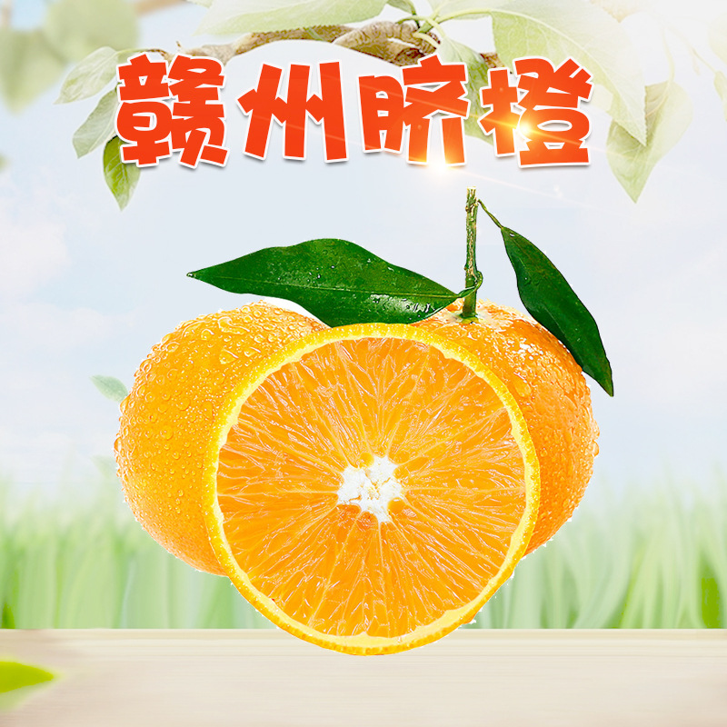 江西赣南赣州脐橙 一件代发礼盒当季应季甜橙柑橘新鲜水果鲜橙子