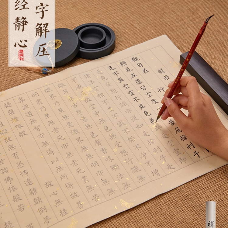 静心手抄经临摹抄经本行书经文抄写本般若菠萝蜜多作品纸毛笔书法