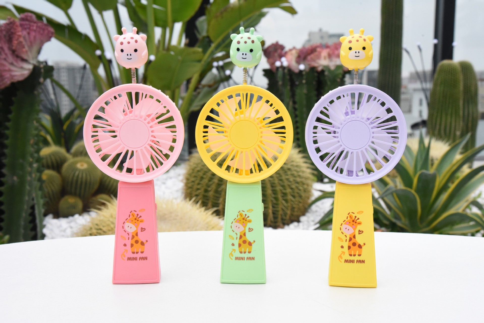 conew_conew_dsc_2887