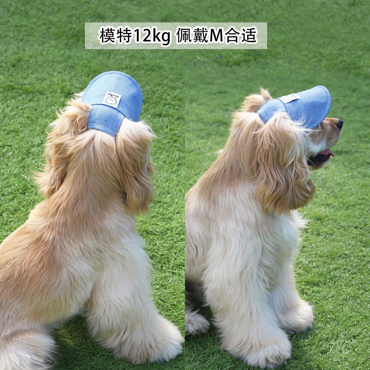 Sombrero de mezclilla para el sol para mascotas Gato Gorro de visera para perros pequeños y medianos Bordado de dibujos animados lindo Sombrero de cabeza Shiba Inu