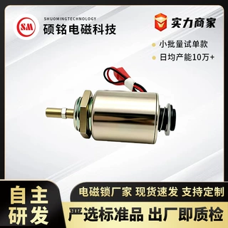 圆管式推拉电磁铁DC12V24V微型电磁锁自动化设备小型螺线管可定制