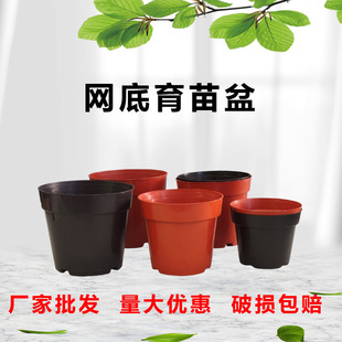 �W���������绨���m������������Լtɫ��ɫ�W��͸�⻨��S�����l
