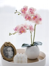 ���滨ˇ�[���ָ�PU�����m�ٻ��b����ɻ��͏d�҃Ƚ��������[�O