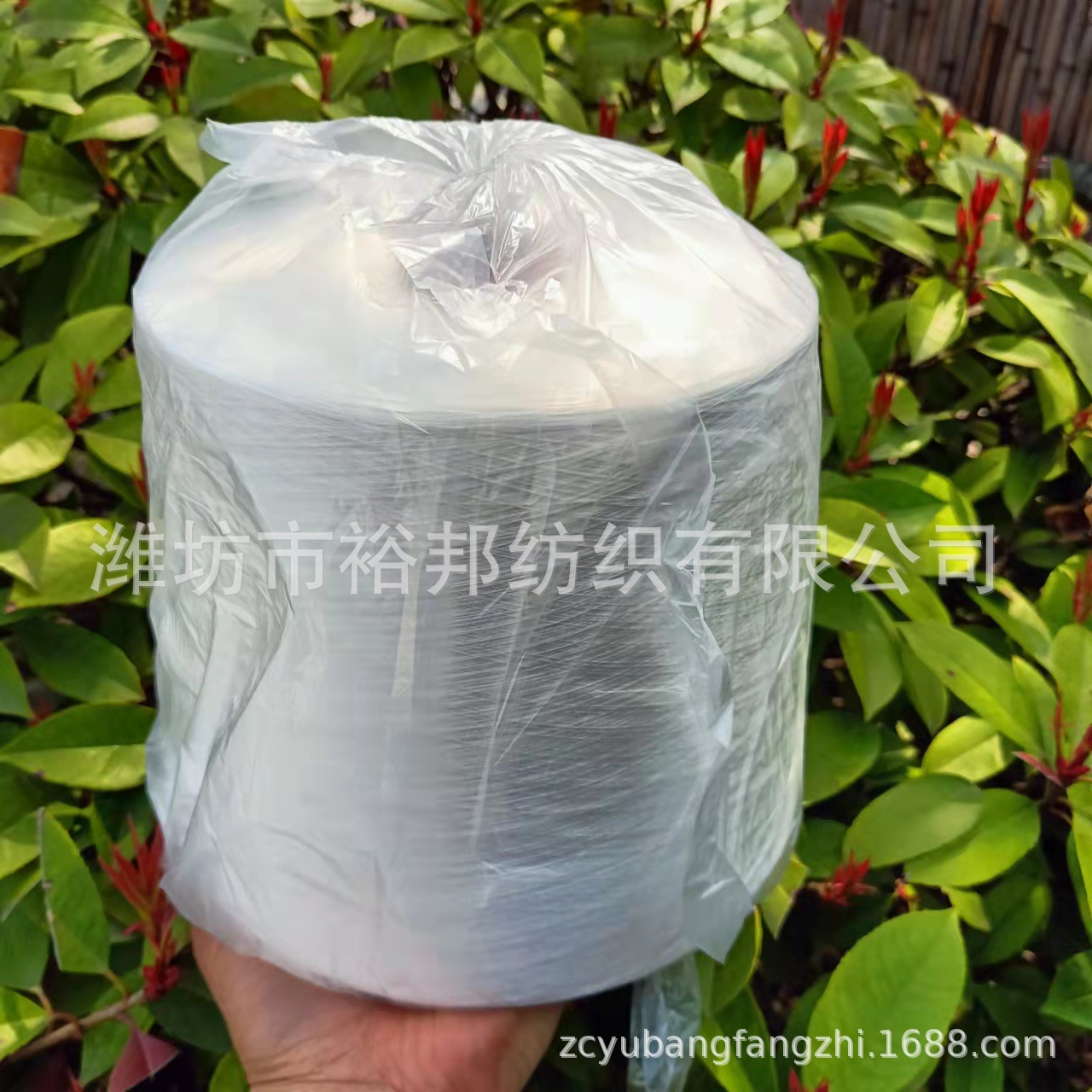 棉纱厂家批发21S/32S/40支精梳双股纯棉纱白色现货供应支数齐全