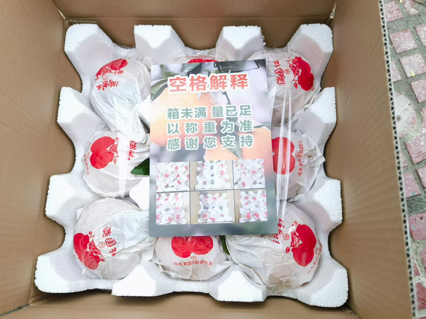 微信图片_20251126074922_330_10