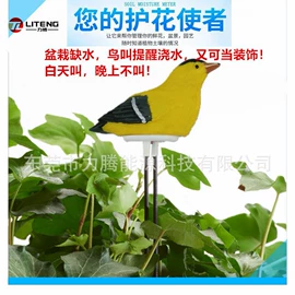 野营/露营灯;饰品展示架;太阳能灯