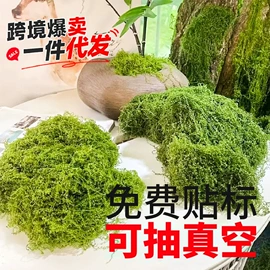 仿真绿植;仿真花;仿真草皮