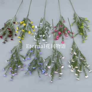 ��@�LСҰ�շ��滨��c�b�СҰ���Ҿ���@�b����[ٻ�