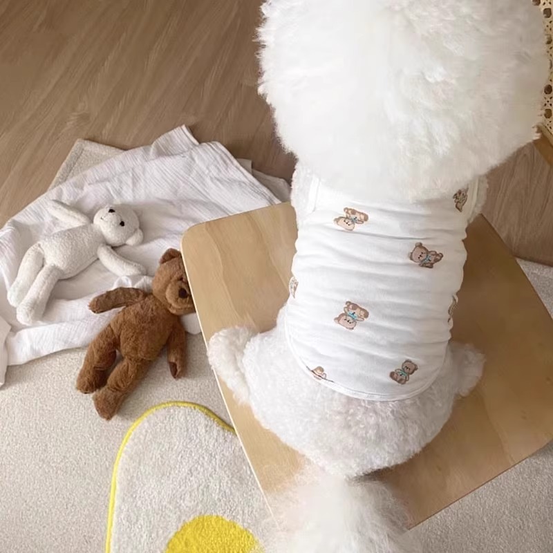 Versión coreana de la ropa de perro de peluche de dos patas para mascotas de dos patas