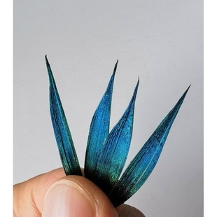�c��diy���ϰl�����h�P����ᘶ�����̥�׷��z�c����ë�c������
