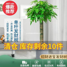 ;GֲlؔU߿͏dk҆wԃ͚ȩؔ