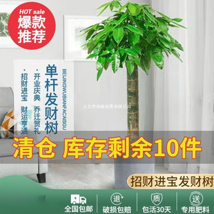 ���;Gֲ�lؔ�����U�����߿͏d�k���҆��w���ԃ����͚�����ȩ��ؔ