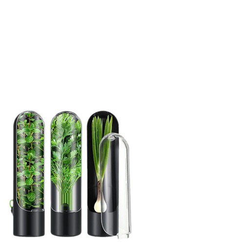 Shein Vanilla Food Storage Container Vegetable Preservation Tool Coriander Herbal Preservation Box