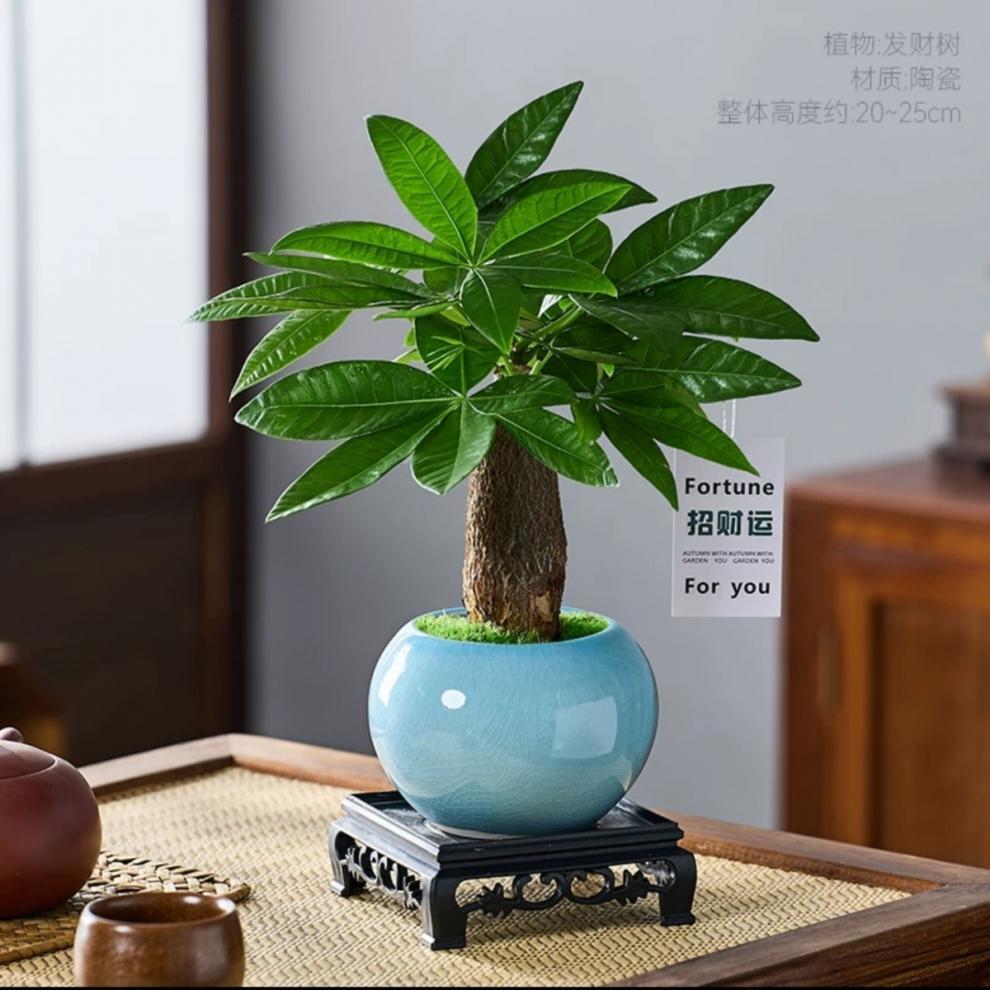 f9e85b97-dffb-4af2-aad7-05b5d023614d.jpe