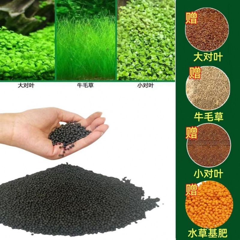 무료 큰잎쌍 + 작은잎쌍 + 소털풀 [각 12,000개] 비료 - 고비료 진흙 [ 2.51kg ]