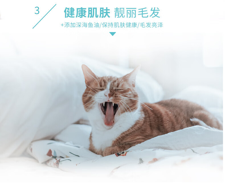 609553b6-f2d2-48c0-909a-a4b402ebf570.jpe