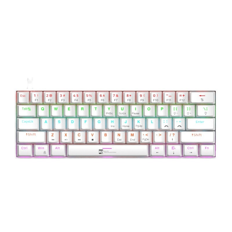 1037 화이트 잉글리쉬(새 스타일)