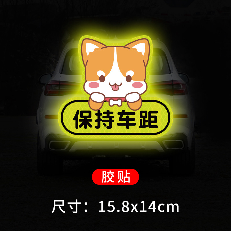 Puppy keeps distance from car stickers