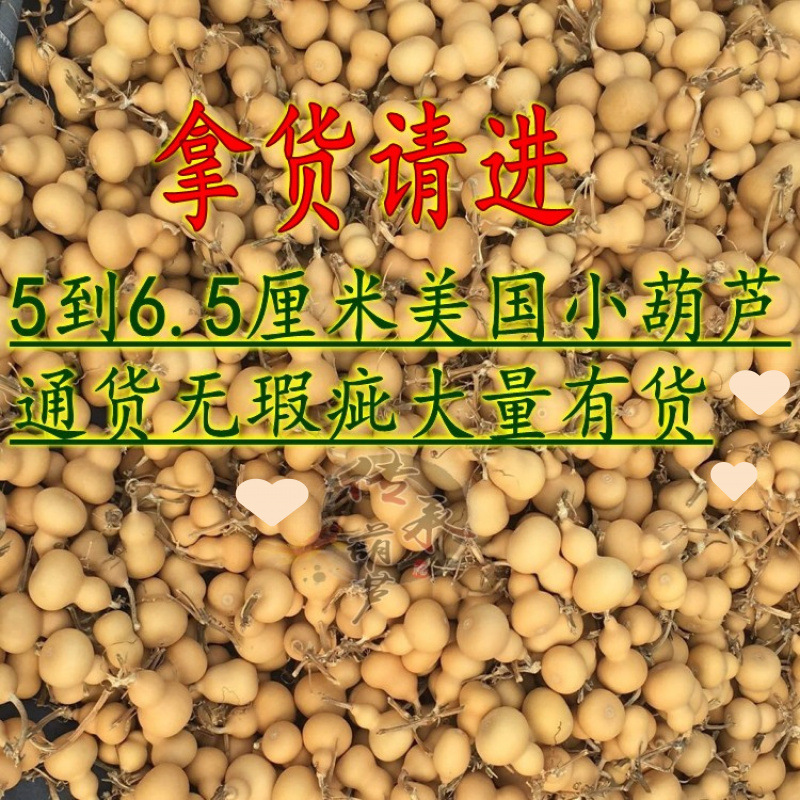 ↬↬↬약간의 흠집이나 약간의 흠집, 수도꼭지 없음 5~6cm, 100개↫↫↫