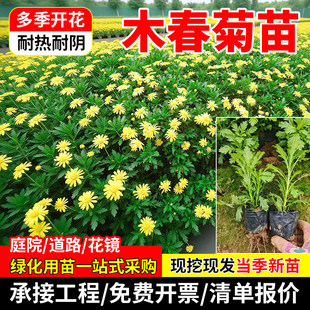 ľ������������ݱ�����ͥԺ�̨�Gֲ�Ϙ��@�־G���������ļ��_��