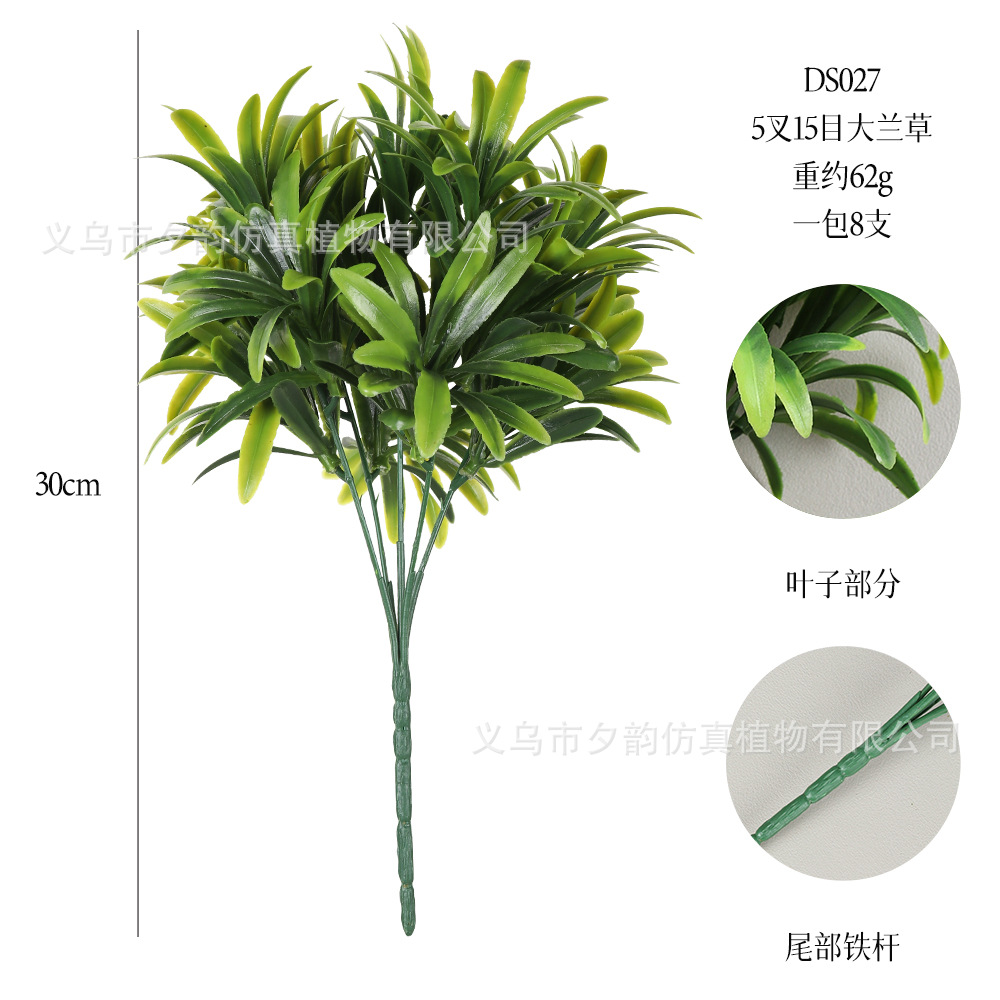 DS027-밝은 녹색 5갈래 난초