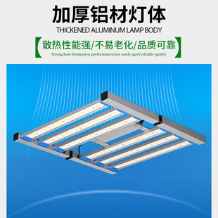 240W�p���Ͱ�צ�~ֲ������ۯB�������{��Gֲ��LED�����L�a��