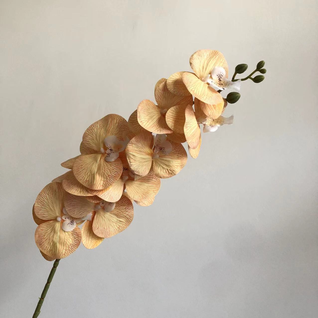 흙빛 노란색