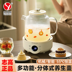 跨境 家用多功能养生杯2L办公室烧水煮花茶炖燕窝智能保温养生壶