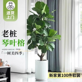 ���~���k���һ��ܾGֲ�辰�͏d��լ�҃����Դ���ֲ���׻��ļ����B