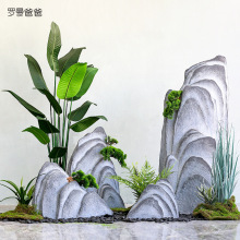 �Է�ɏ ����Gֲ�辰���˽������B�쾰ֲ�ﾰ�^������ؔ[���b�