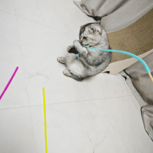 逗猫棒仿真老鼠尾巴硅胶自嗨逗猫棒木杆长杆耐玩逗猫玩具现货批发