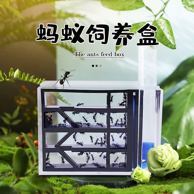 Kindergarten Small Animal Ant Nest Feeding Home Ant Workshop Water Box Ant Breeding Box Breeding Automatic Ant Nest Observation
