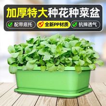 新款加厚加大阳台种菜盆长方形塑料盆家庭蔬菜种植盆种菜草莓花盆