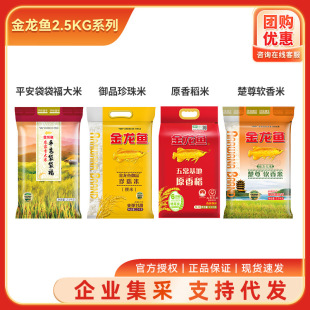 �����~���ז|�����׾��׶i��������ô���b5���b����