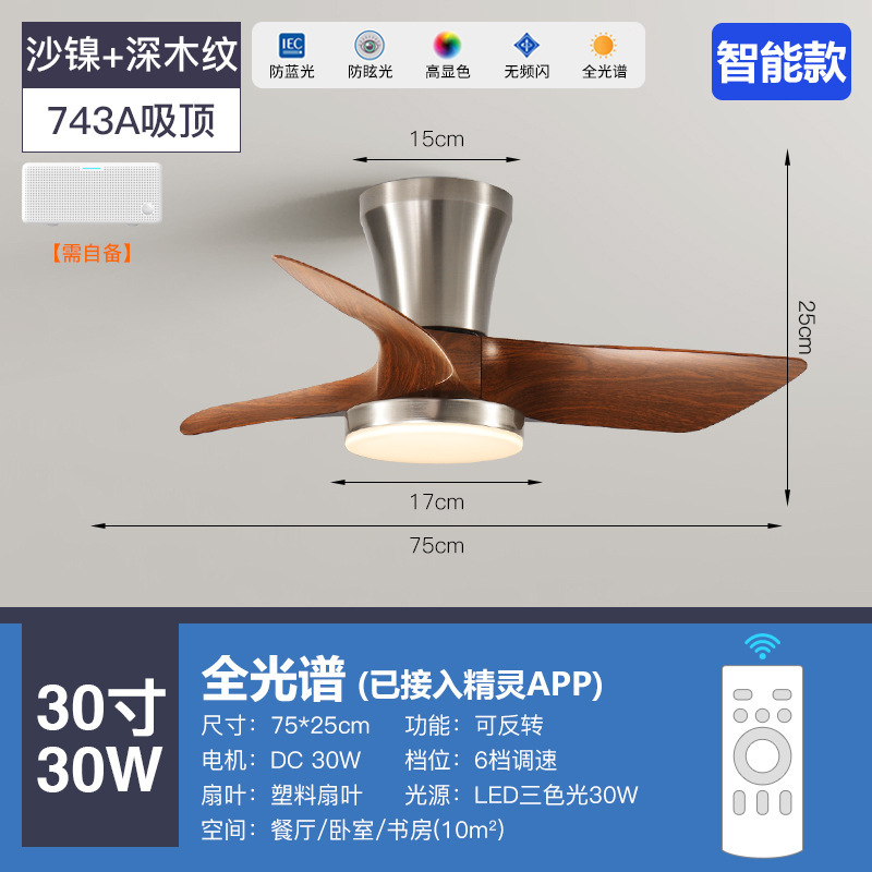 全光谱客厅中古风扇灯吸顶吊扇灯新款餐厅灯风扇一体吊扇中山灯具|undefined