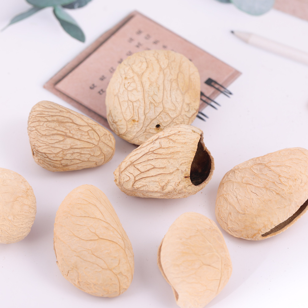 cáscara de fruta campana accesorios de materia prima planta natural cáscara de fruta campana de viento cáscara de fruta campana accesorios hechos a mano material diy image 5