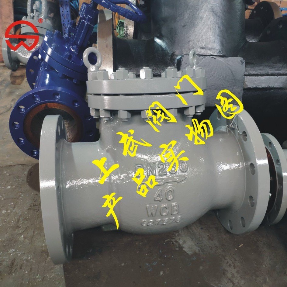 H44H-40C铸钢旋启式止回阀