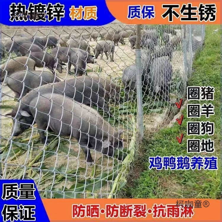 Оцинкованный сетчатый забор, крючковая сетка, ограждение для крупного рогатого скота, изоляционная сетка для защиты кур, разведение собак, Metabo