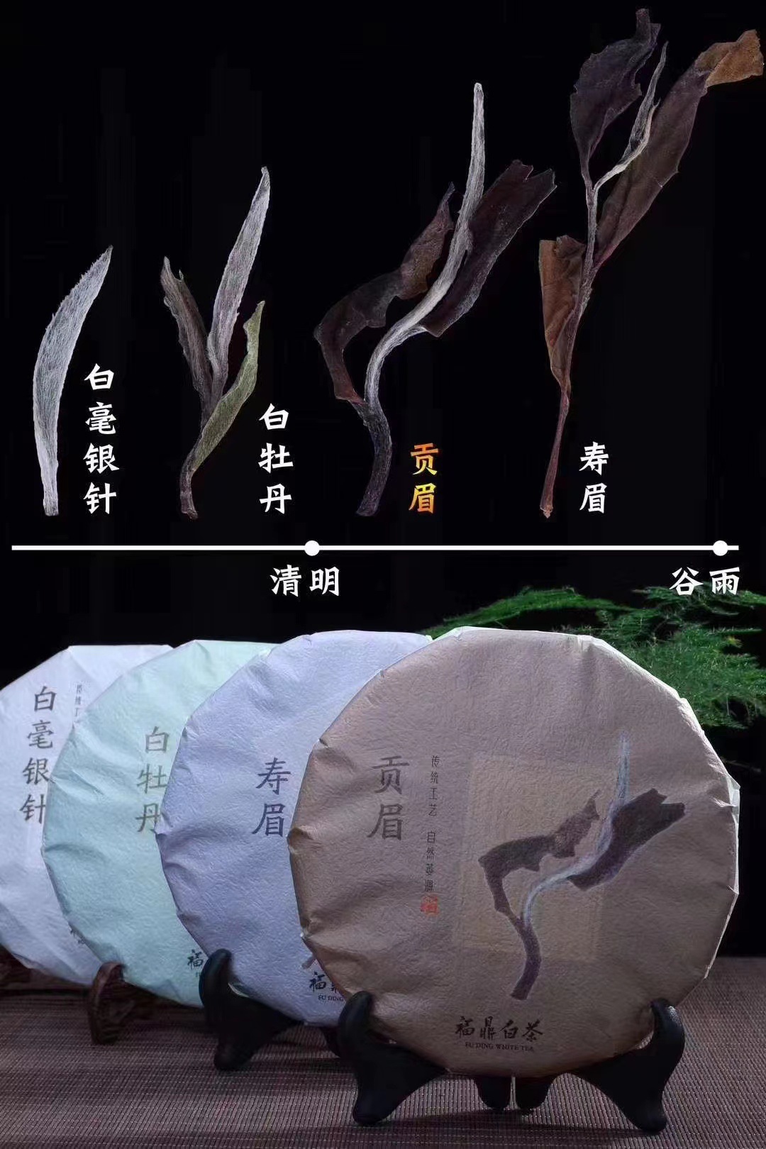 ceaa75f898334d01604e014f0c11dd