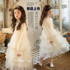 Spring dress, small princess costume, skirt, suitable for teen, long sleeve, autumn, tutu skirt