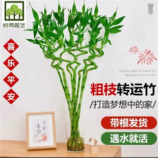 �����D�\��ˮ���F���҃���ؔˮ��Gֲֲ��ˮ�B�_�\�������Կ͏d